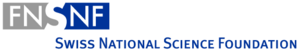 SNF Logo